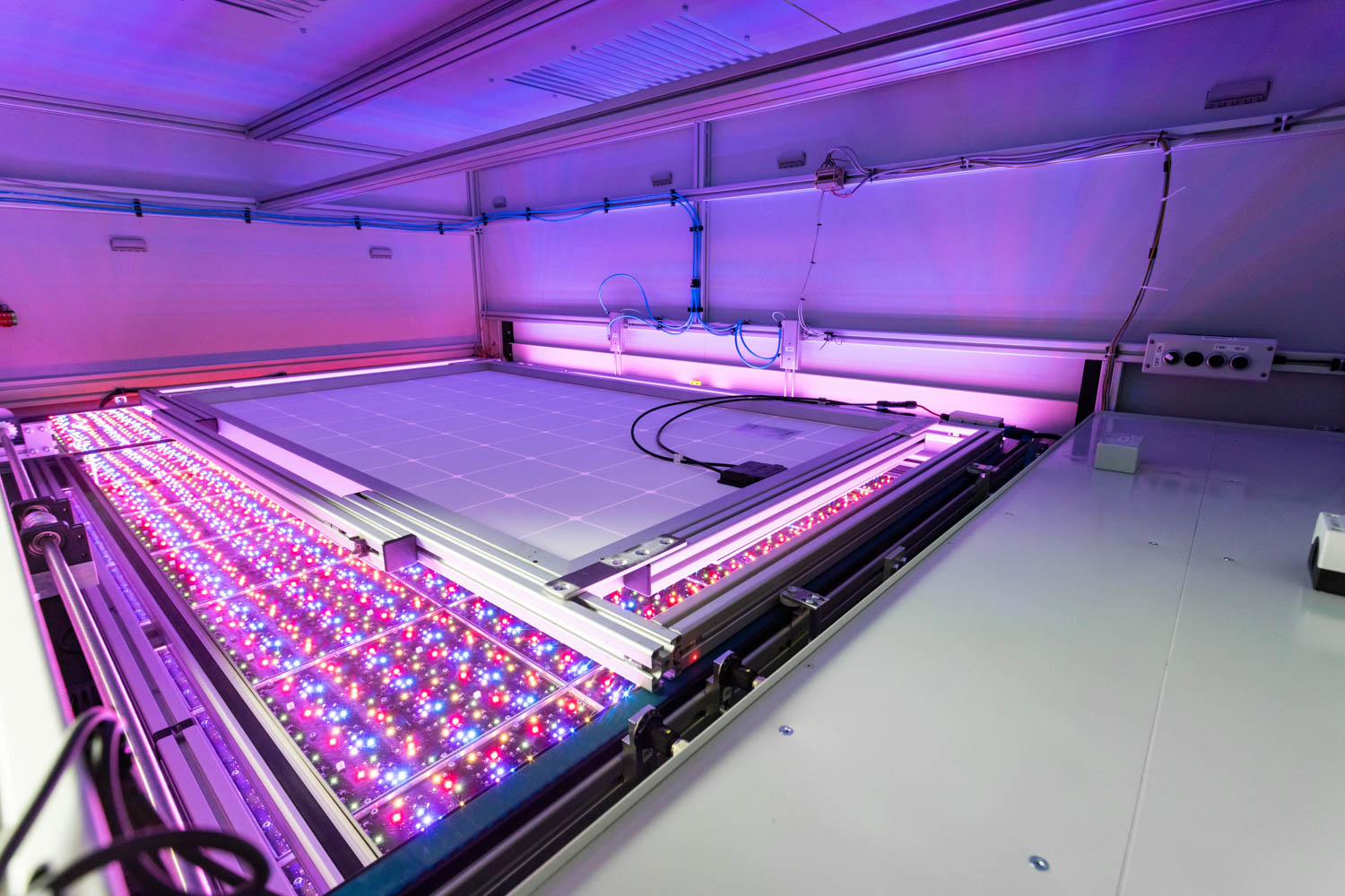 LL191113Wavelabs6380.jpg LL191113Wavelabs6380.jpg